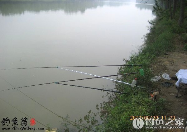 周口沙河最新钓鱼消息,探寻小巷中的垂钓秘境与特色小店