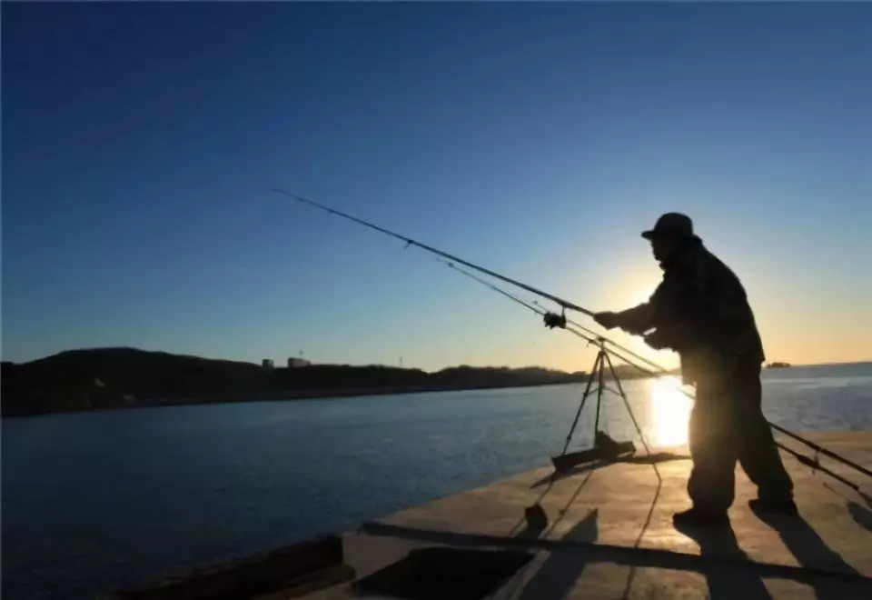 石家庄最新钓鱼信息,巷弄深处的垂钓秘境与独特小店探秘
