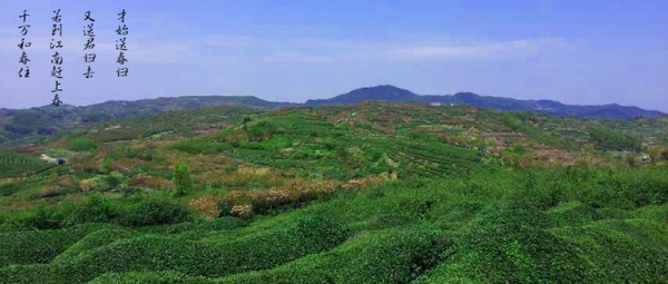 余姚塑料城最新价,启程,探寻自然美景,寻找内心平静