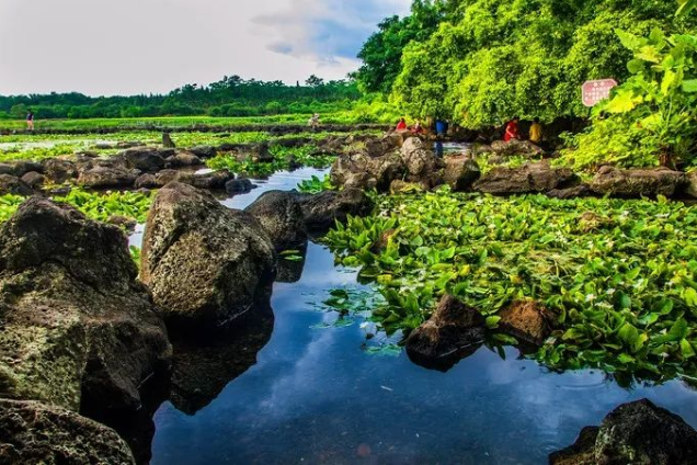 定安最新招聘信息,启程,探索自然美景的旅行