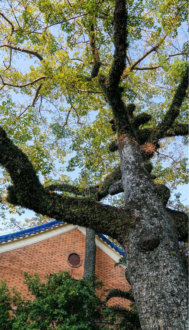 广州最新传奇版本,时代的印记与文化的繁荣