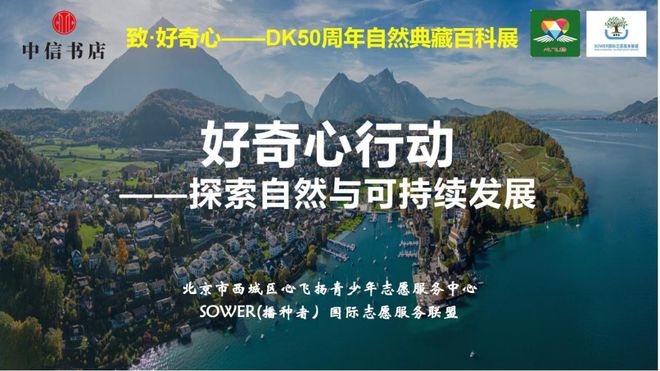 白银行情最新分析,一场探索自然美景的旅行,寻找内心的平和与宁静