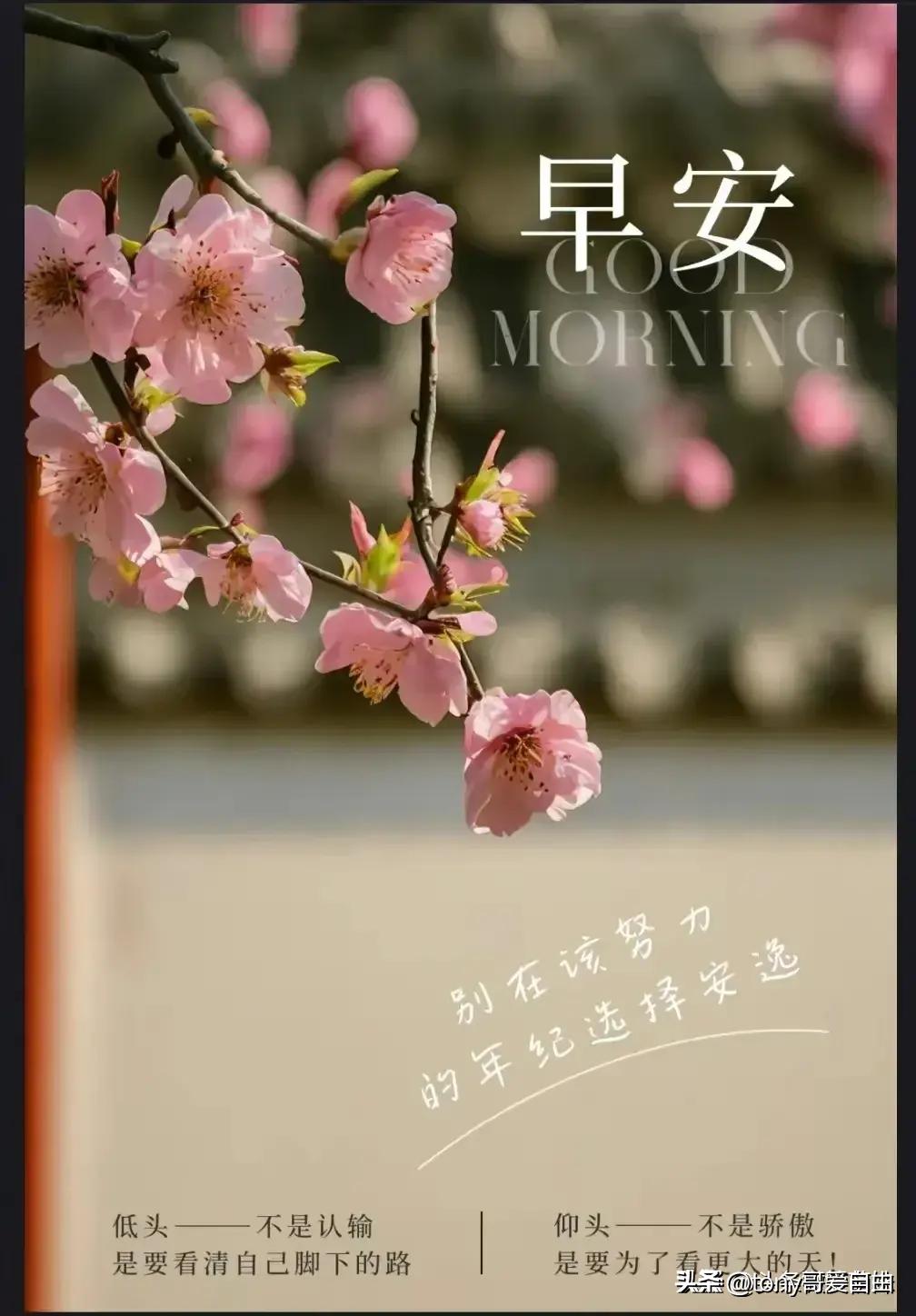 2024最新早安图片,学习变化,自信成就未来