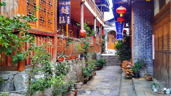 酉阳护士招聘最新信息,小巷深处的特色小店等你来探索!