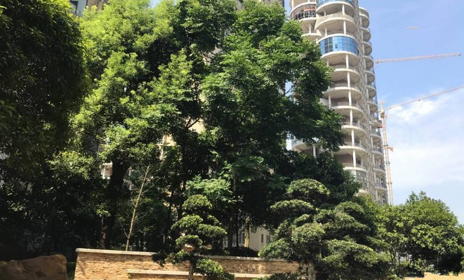 湘潭翰林居最新价格,一次探索自然美景的旅行邀请