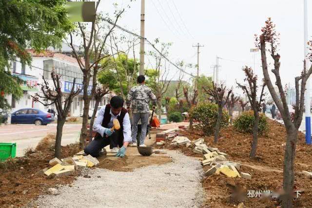 邳州蒜苔最新价格,变化中的机遇与自信的力量