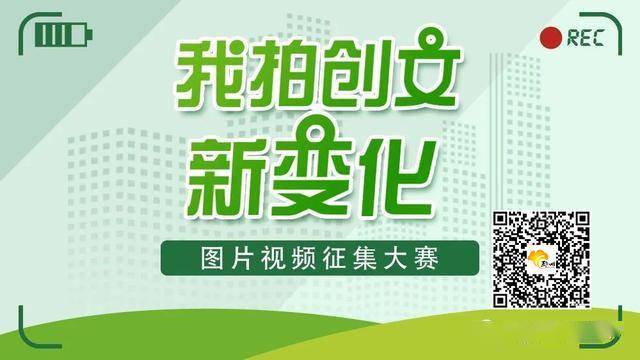 邳州蒜苔最新价格,变化中的机遇与自信的力量