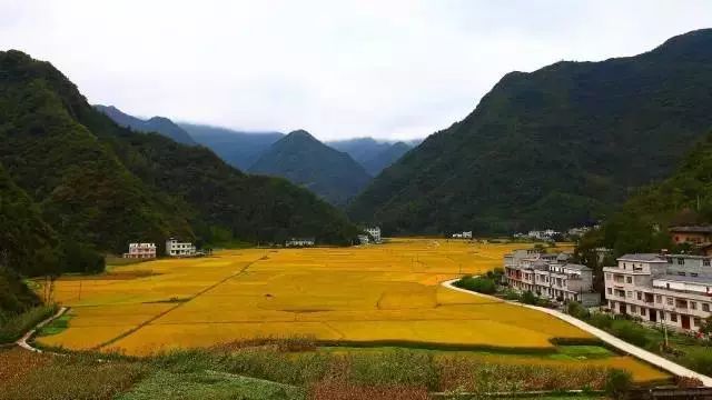 2024旬阳最新招聘,与大自然同行,寻找内心的桃花源