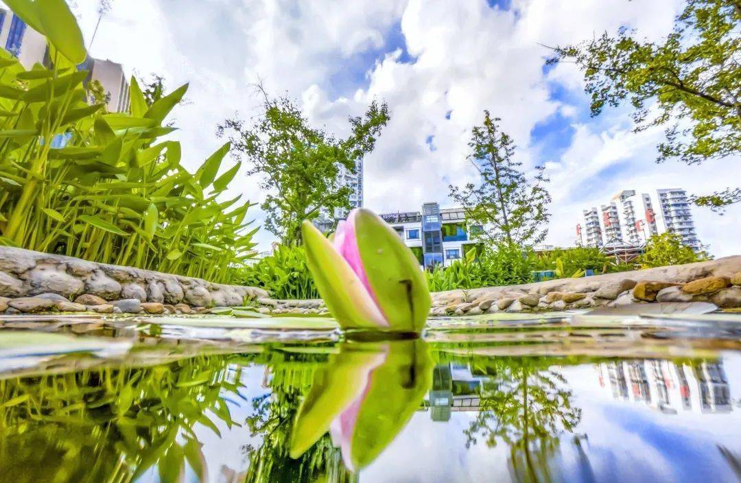 天眼追击2024最新集,任务完成与技能学习指南