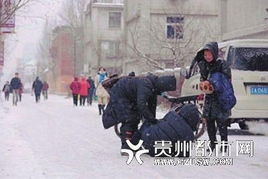 侯汉廷最新视频,探索小巷中的隐藏美食天堂