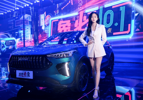 河南蒜苗价格最新行情指南