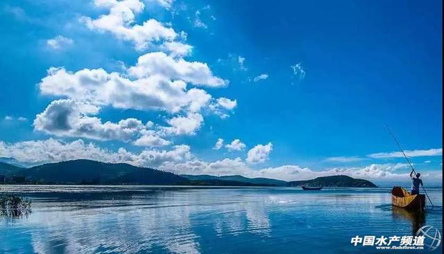 洱海最新消息,生态治理与保护的时代典范