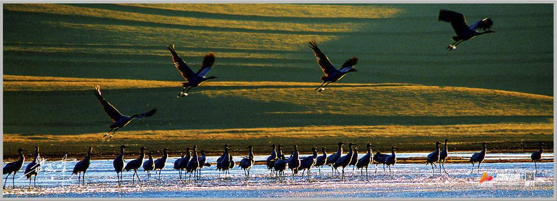 大山包的最新旅游信息,时代背景下的璀璨明珠