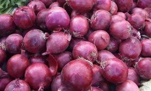 临沂洋葱价格最新行情,变化中的学习,自信与成就感的源泉