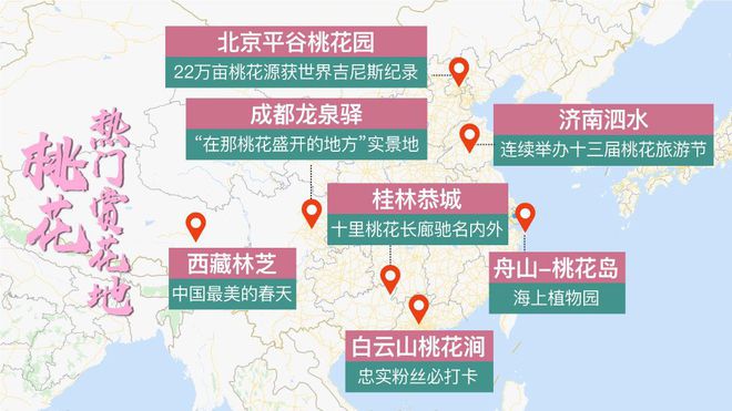 鲜花地图磁卡最新价格——开启智慧之旅,探索无限可能