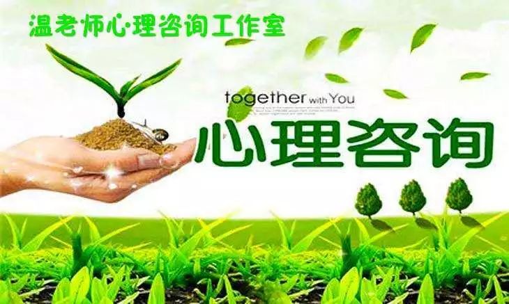 医道神医庄碧最新,一场与自然美景的邂逅,寻找内心的平和之旅