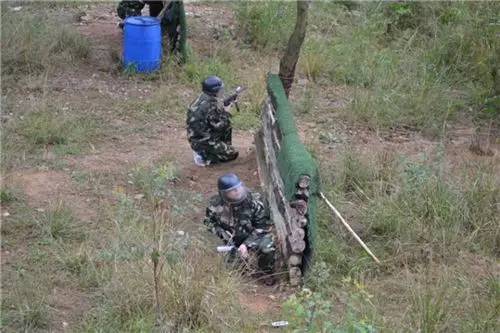 探索小巷深处的野战秘境,最新野战视频带你领略独特风味小店