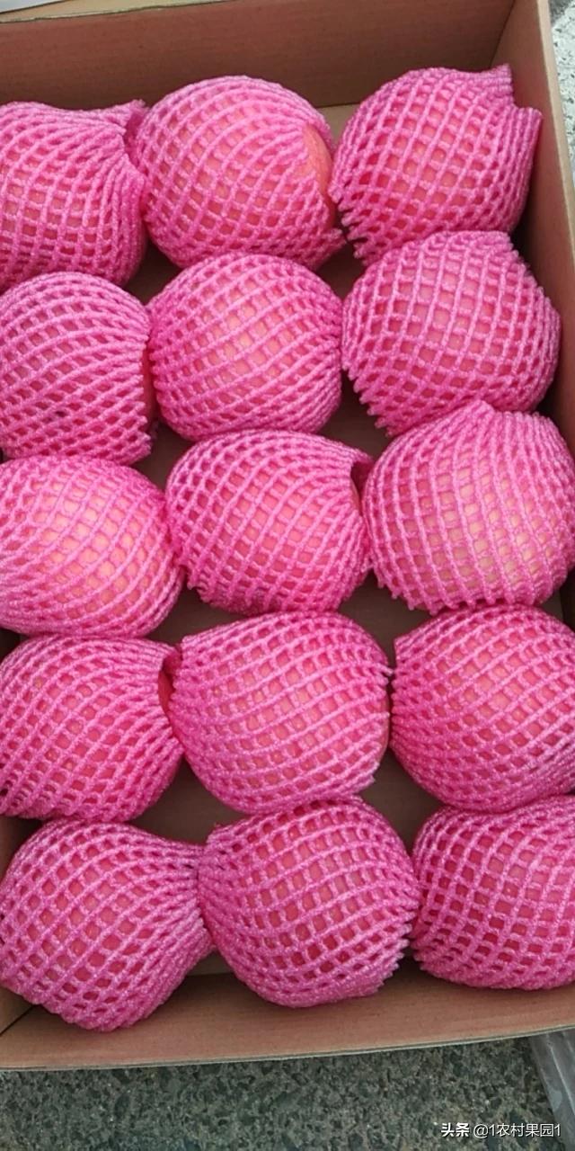 苹果最新款产品大揭秘🍎🎉