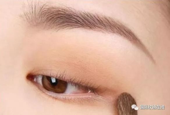 2024最新落尾眉图片教程,从零开始学习如何画落尾眉