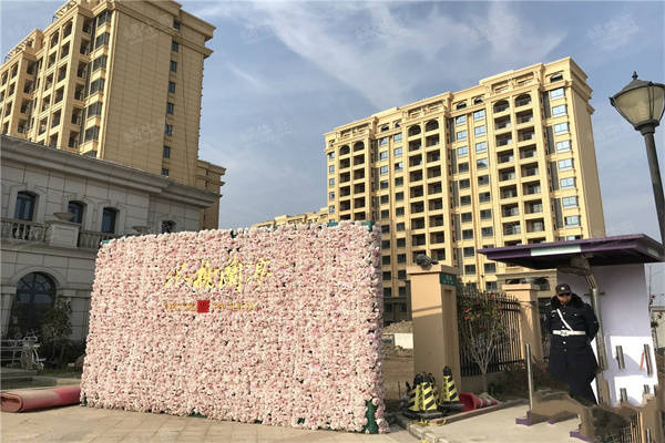 金乡水云台最新价格,深度解析与探讨