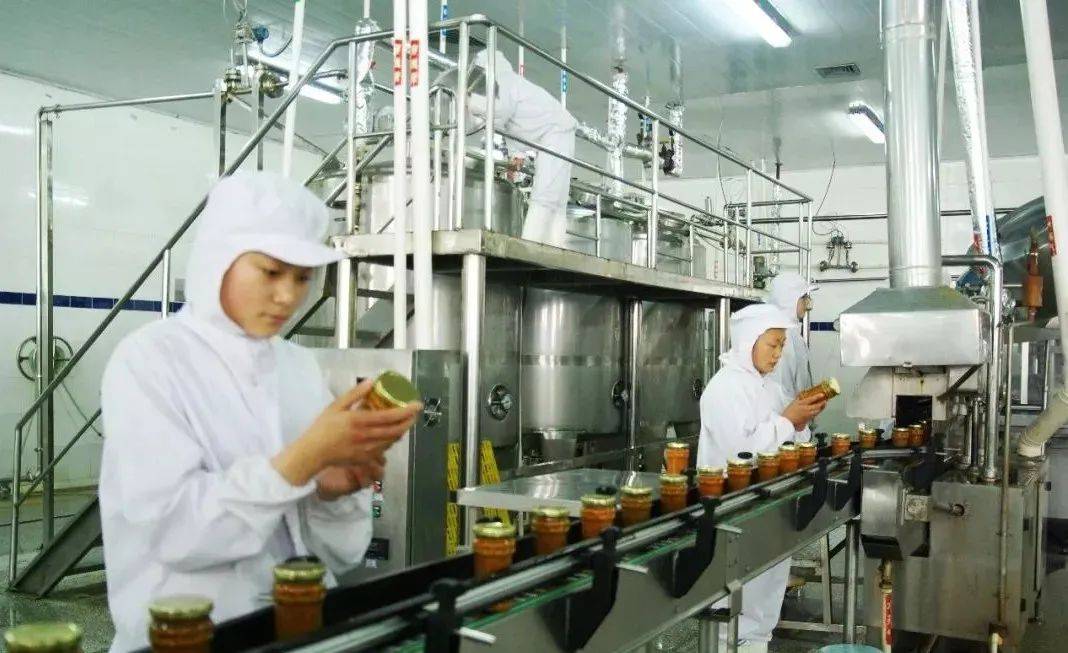 金乡水云台最新价格,深度解析与探讨