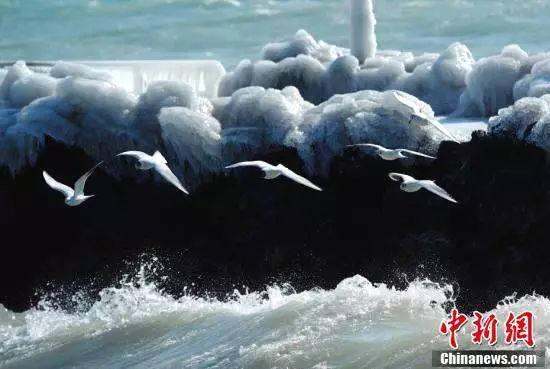 最新沈阳天气预报,一场自然美景的探索之旅,心灵的宁静之旅