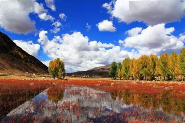 2024最新地址,一场探索自然美景的旅行,寻找内心的平和之地