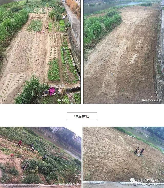 全国蒜苗价格最新行情,小巷深处的独特风味探秘