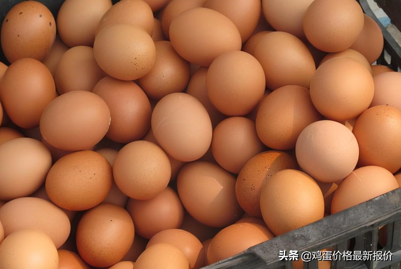 🔥菏泽楼盘最新价格暴跌!购房者的福音来了!🔥