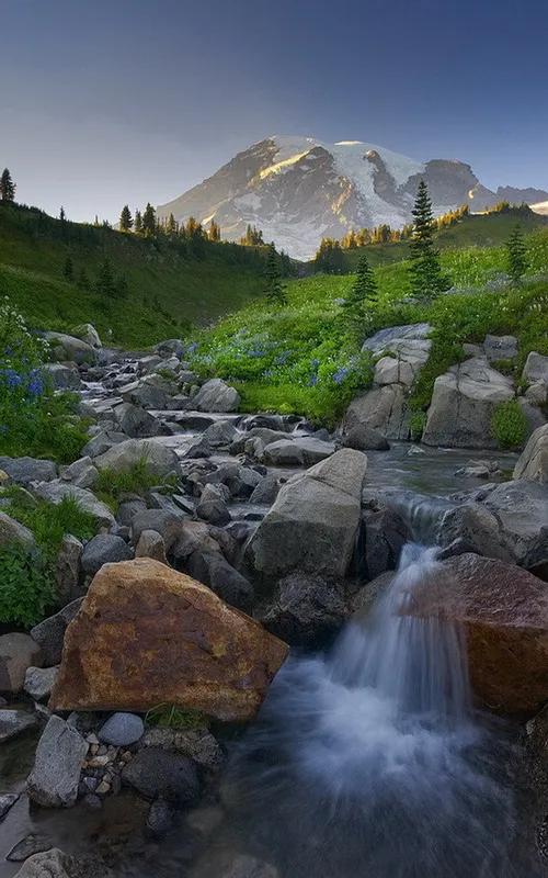 广州最新免费招聘信息,与大自然共舞,寻找内心的宁静之旅