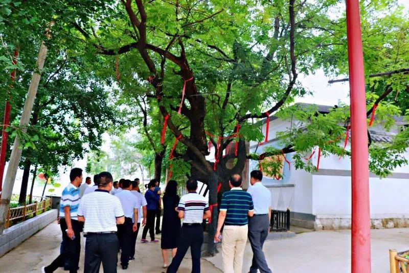 槐树村最新目录18,探索槐树村的最新发展与魅力