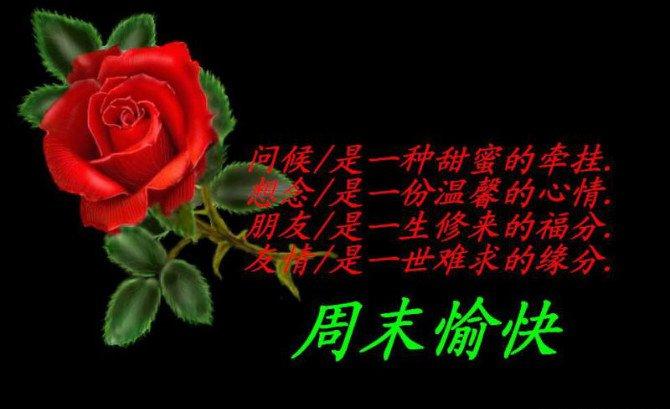 最新周末祝福短信客户