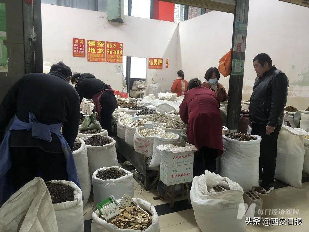 亳州药材价格最新行情