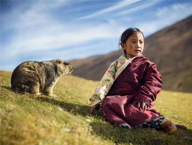 噻菌铜最新价格,踏上自然之旅,寻找内心的宁静与平和