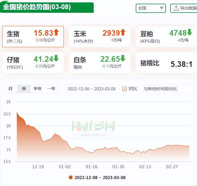 最新猪价uc报价,小巷深处的特色小店探秘