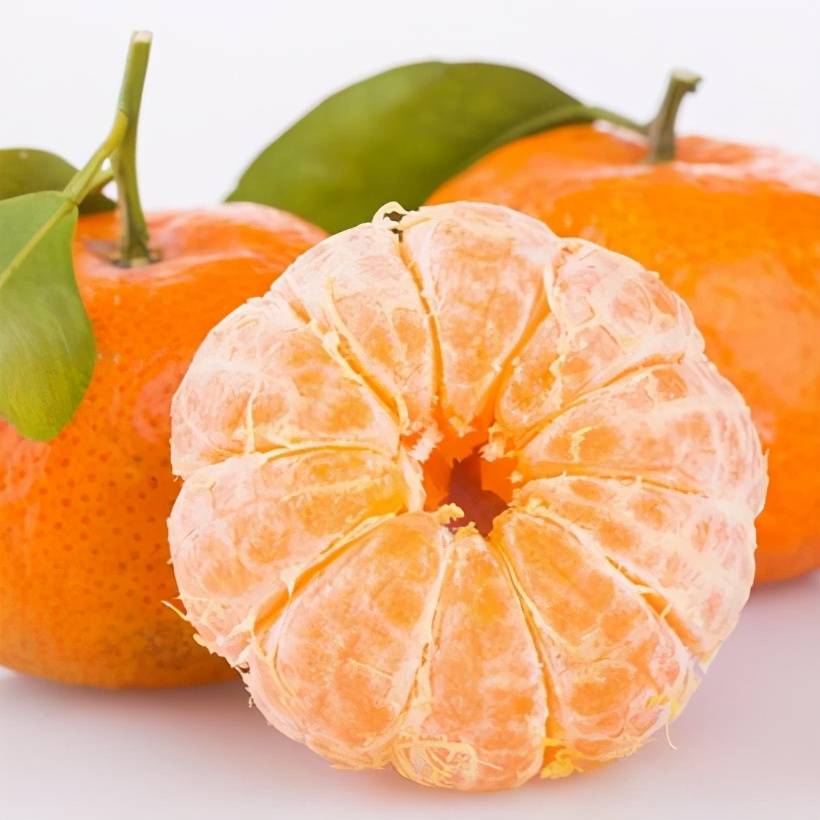 桔子最新品种,观点阐述