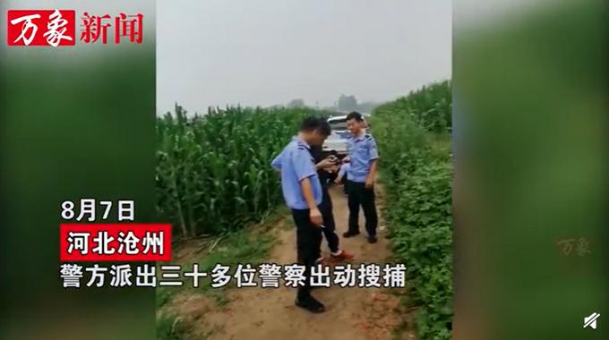 今日任丘最新新闻