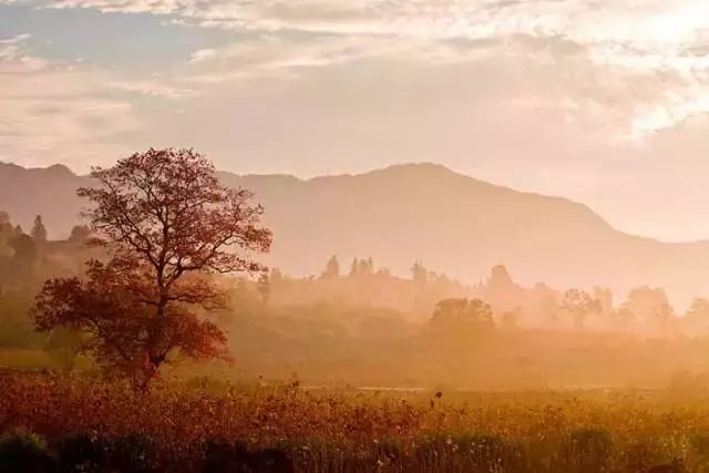 博深工具最新公告,一起踏上探索自然美景的旅程,寻找内心的平和