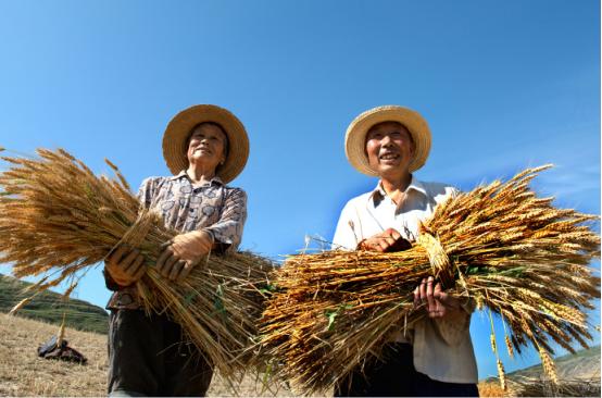爱在征途最新章节,一段深情旅程的续写