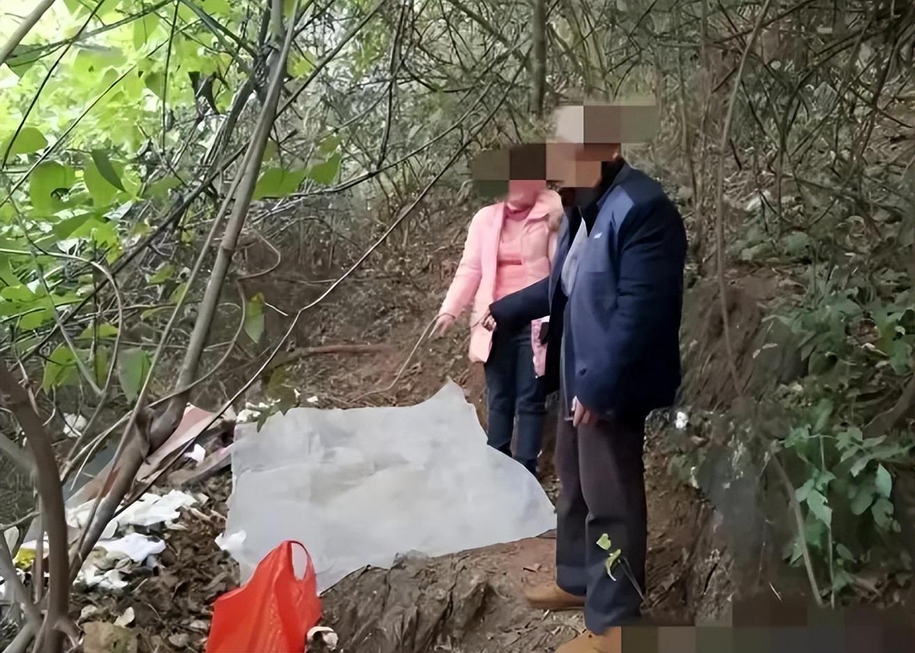 校园打野战最新视频,实战步骤指南