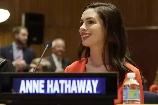 安妮的最新性公司,多维度视角下的探讨