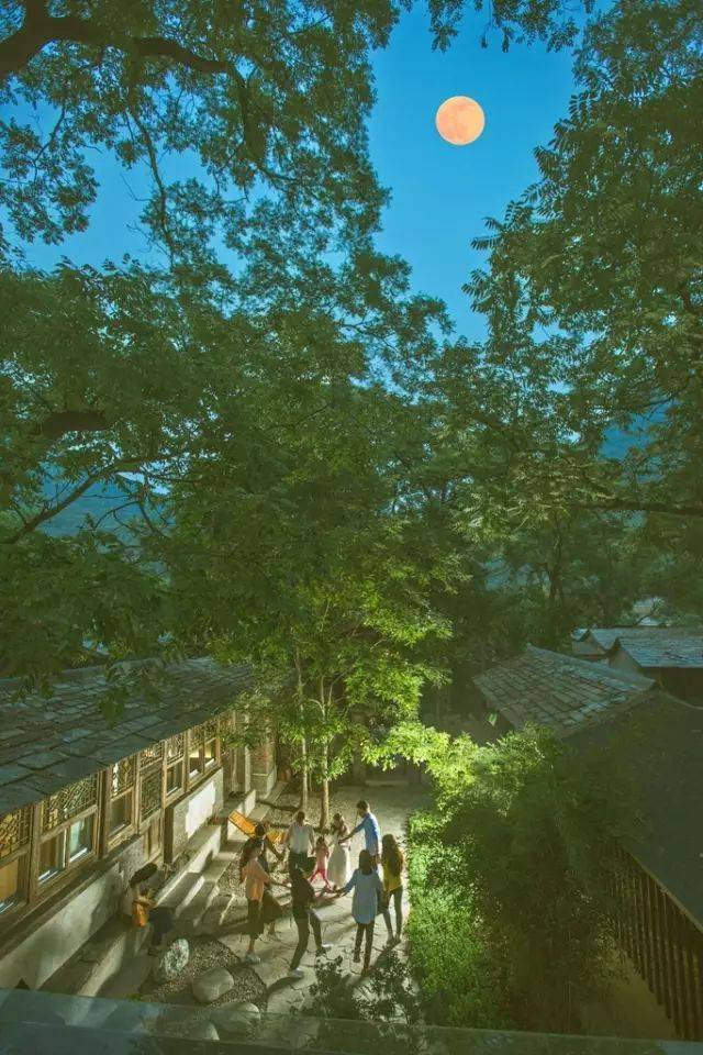 草长莺飞 第3页