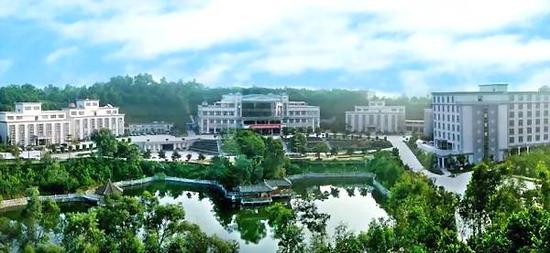 揭西县陈族远的新鲜日常,温情与友情的交织