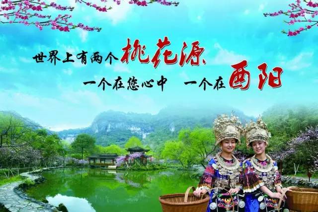 神级龙卫免费阅读全文最新章节,探索自然美景的治愈之旅