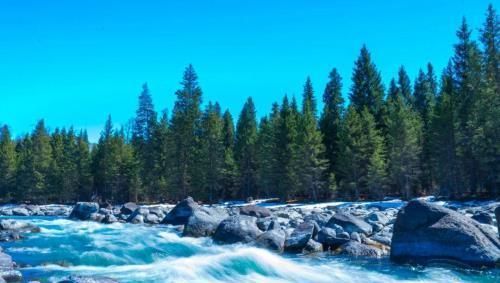 神级龙卫免费阅读全文最新章节,探索自然美景的治愈之旅