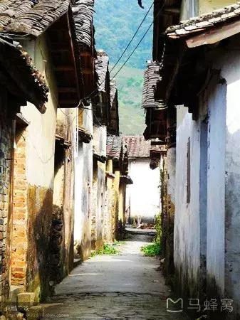 西八里村的最新消息,巷弄深处的惊喜——一家特色小店的独特魅力