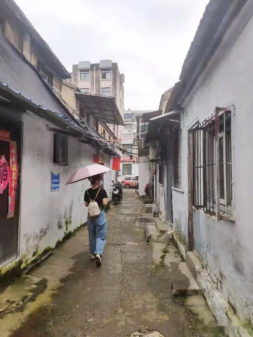 西八里村的最新消息,巷弄深处的惊喜——一家特色小店的独特魅力