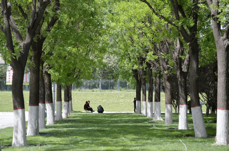 开化二手房最新信息网,与自然美景的邂逅,寻找内心的平和
