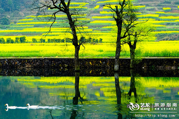 开化二手房最新信息网,与自然美景的邂逅,寻找内心的平和