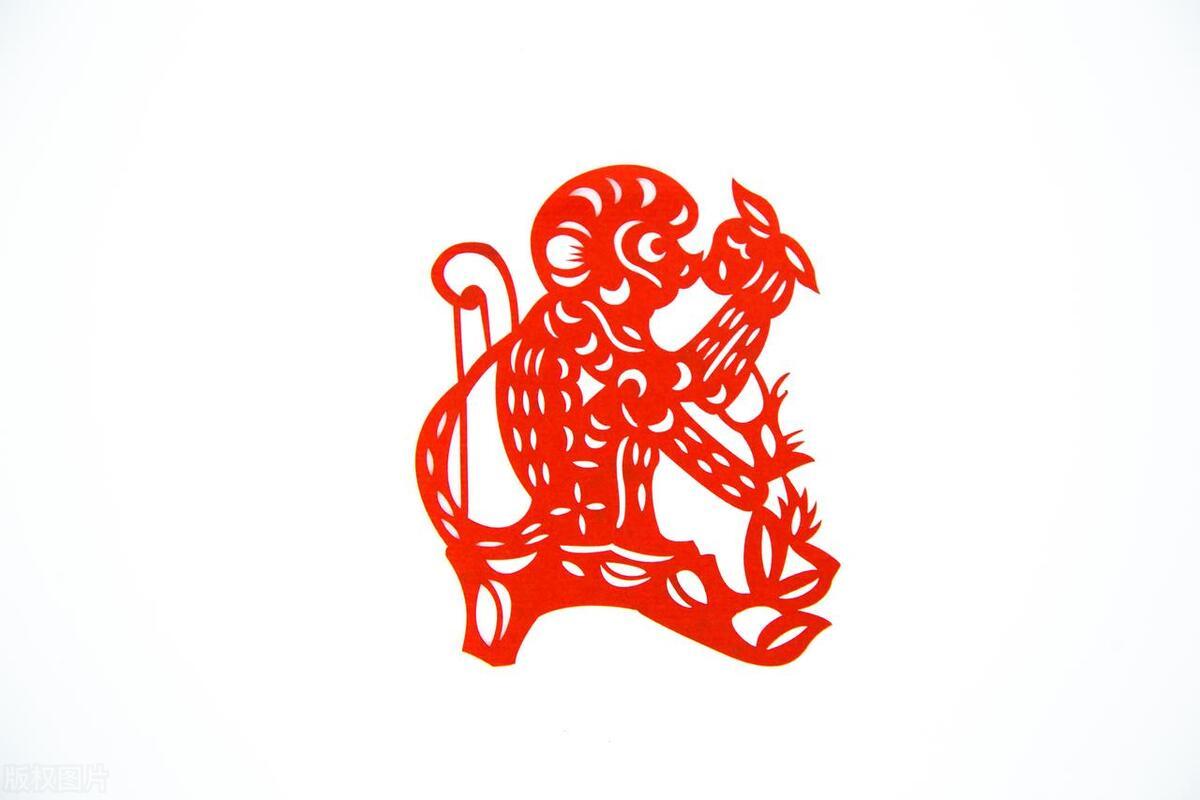 2024十二生肖49个码,解答全面_黑科技版35.845